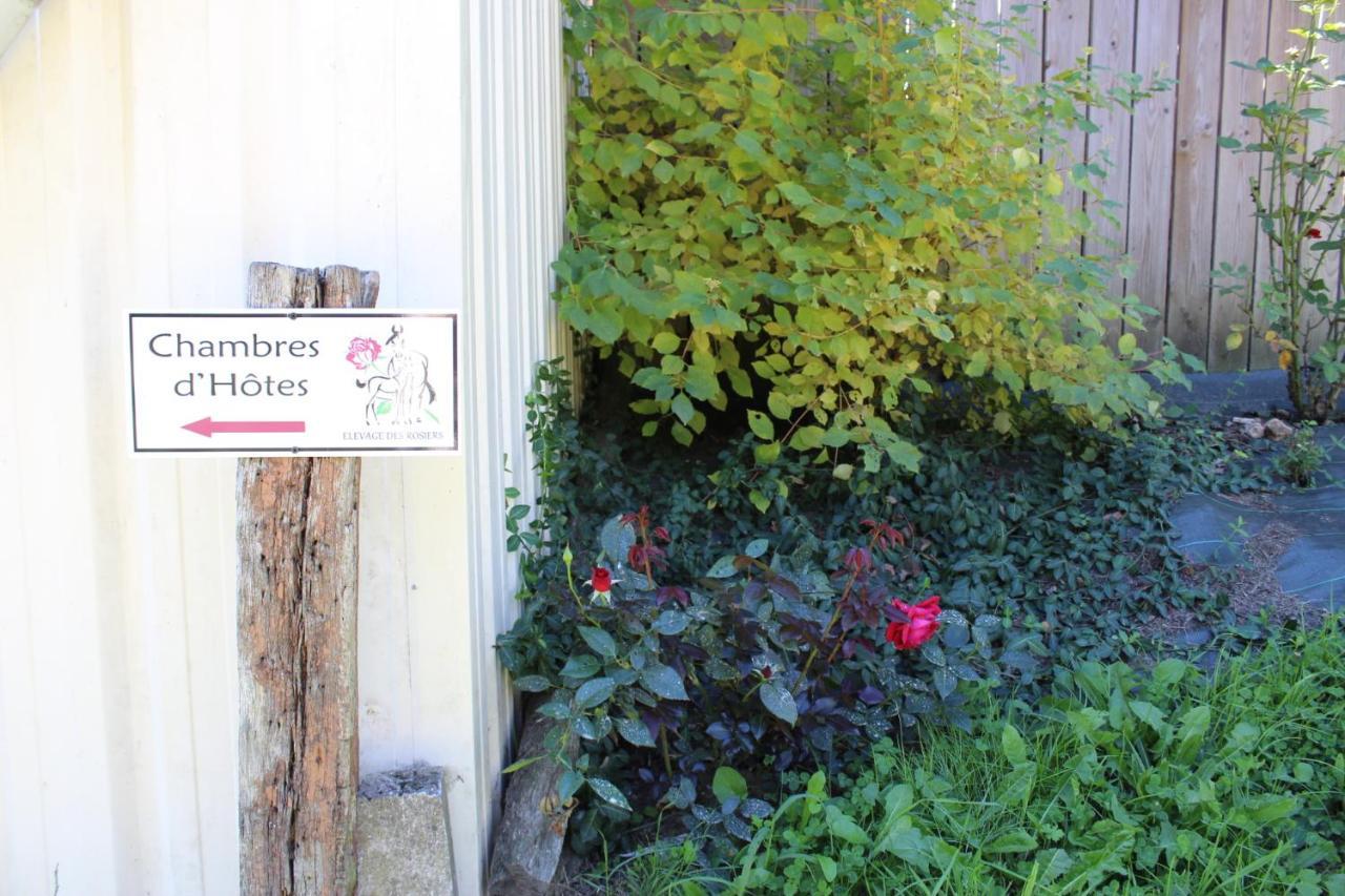 Chambre D'Hote En Vallee Du Loir - Elevage Des Rosiers Bazouges-sur-le-Loir Kültér fotó