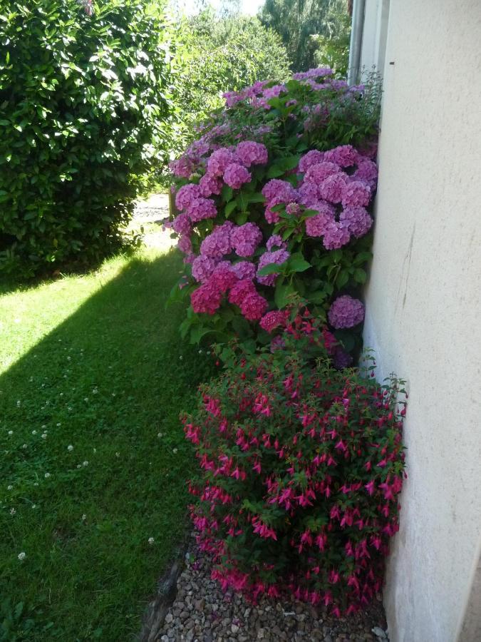 Chambre D'Hote En Vallee Du Loir - Elevage Des Rosiers Bazouges-sur-le-Loir Kültér fotó