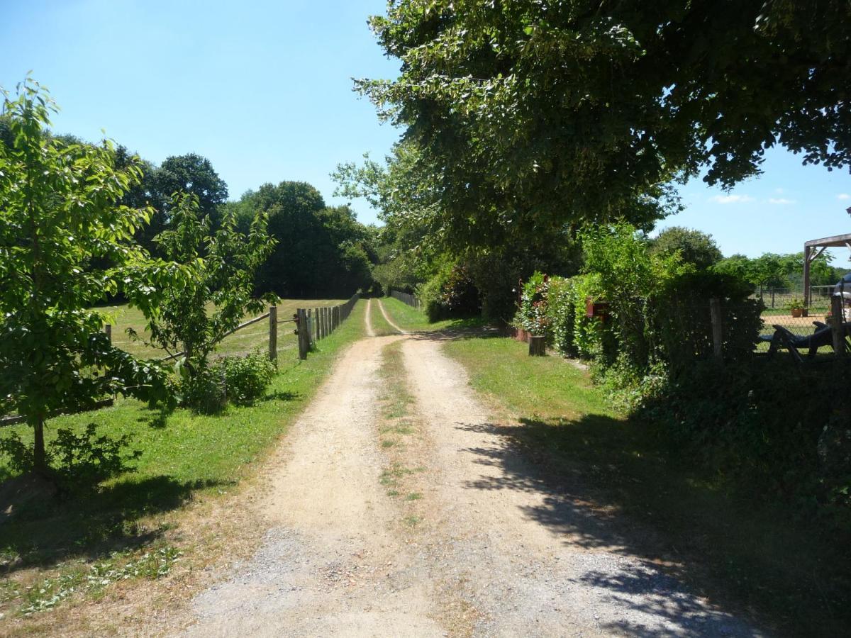Chambre D'Hote En Vallee Du Loir - Elevage Des Rosiers Bazouges-sur-le-Loir Kültér fotó